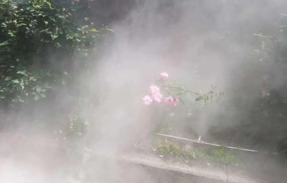微信图片_20190502113531