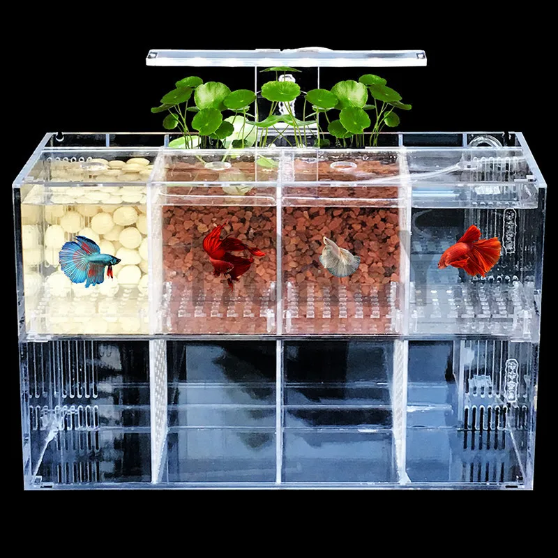 HONGYI 1 шт. акриловые bettas цилиндр изолированный аквариум Наклонный водяной насос разведение цилиндр детский Бетта бак Гуппи разведение