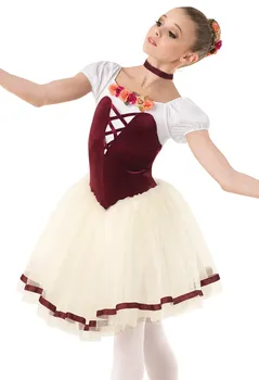 

Adult Ballet Costume Women professional Tutu Leotard Dancewear Girls Stage Show Danse Dancing Clothing Embroidered
