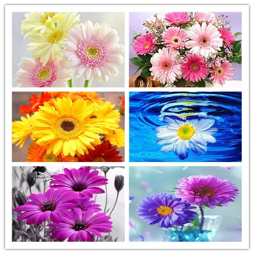 

5D DIY Diamond Painting Flower Needlework Diamond Embroidery Daisy Full Dimond Cross Stitch Unfinished Christmas Gift