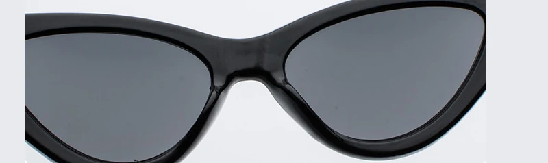 2018 News Cat Eye Sunglasses (31)