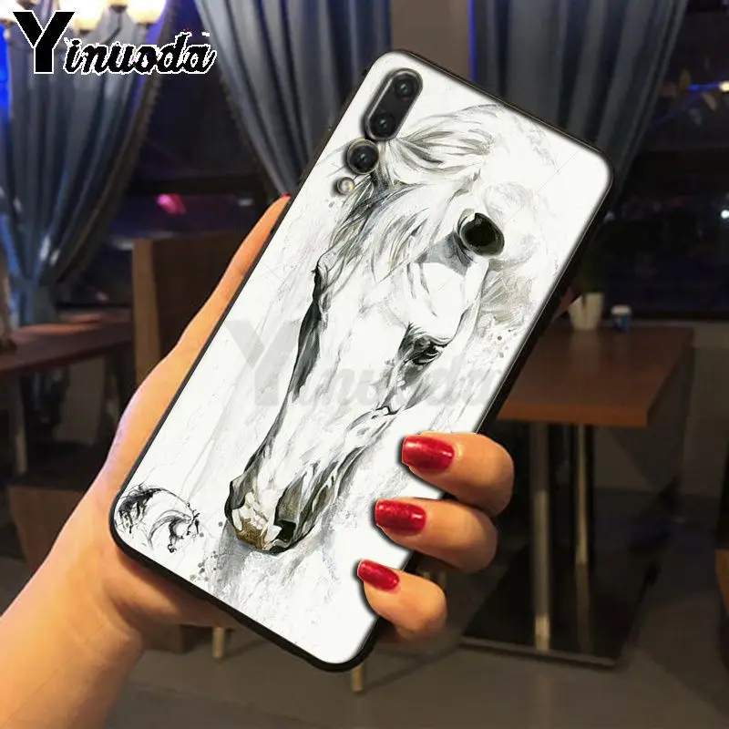 horse animal