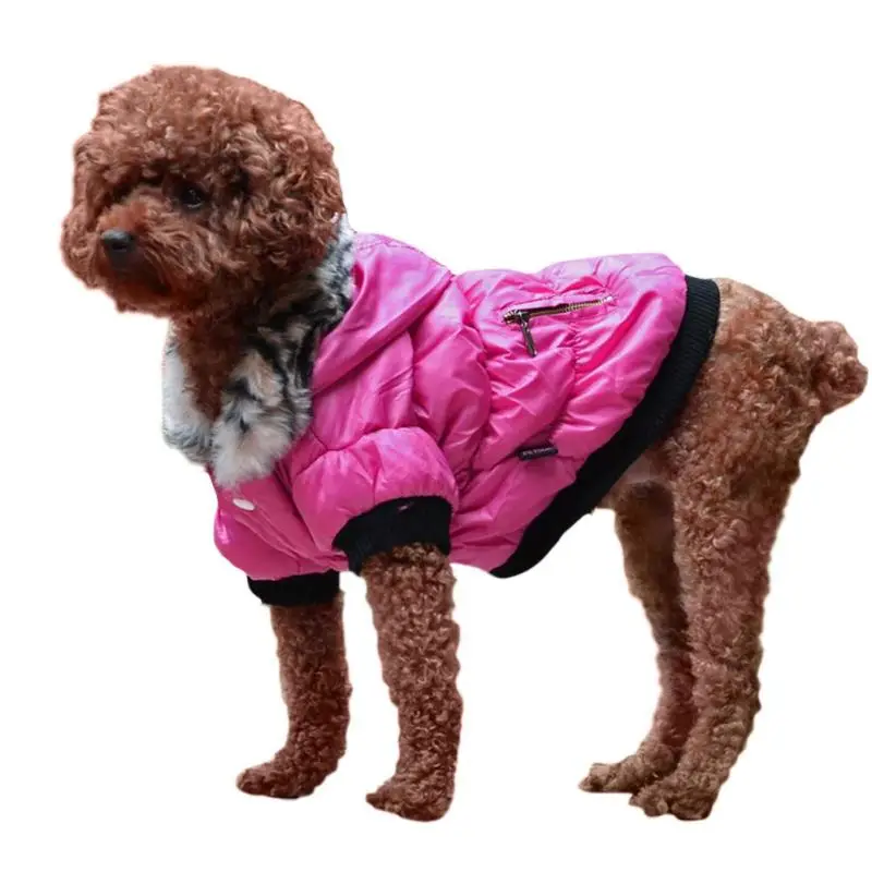 Buy Warm Dog Clothes for Small Dog Outfits for Dog