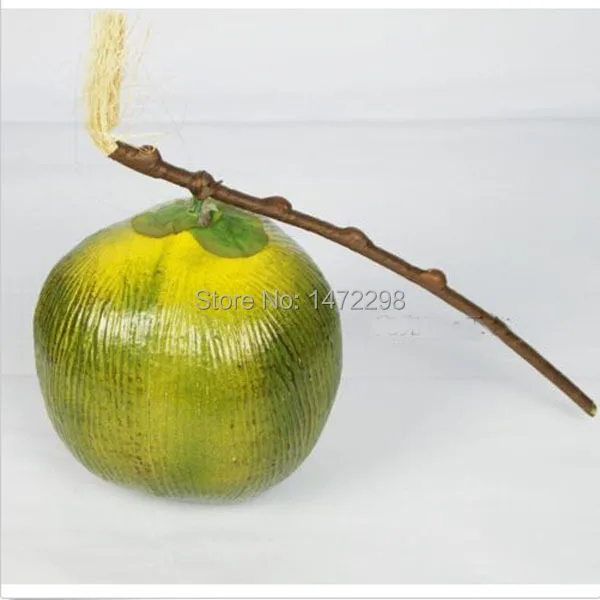 1pc Fruit large coconut living room place photography props fake