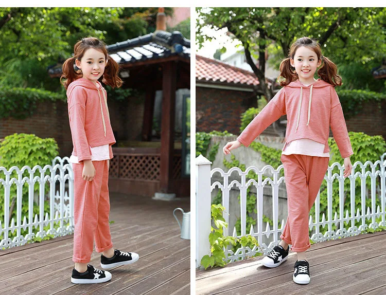 baby teenage girls clothing sets girl sport suits children clothing sets 2017 Brand New hooded kids clothes set hoody and pants  4 5 6 7 8 9 10 11 12 13 14  years old little big teenage girls tracksuits sets sports clothes  (12)