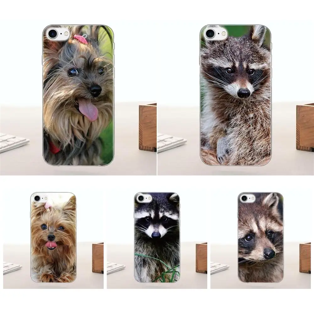 

TPU Skin Paintin For Galaxy Alpha Core Note 2 3 4 S2 A10 A20 A20E A30 A40 A50 A60 A70 M10 M20 M30 Raccoon Yorkshire Terrier