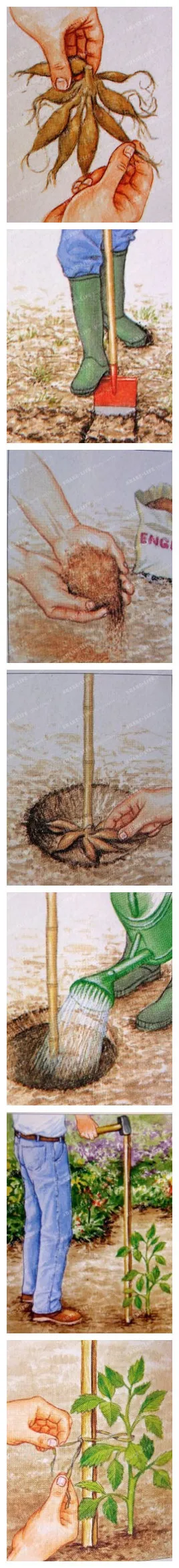 aeProduct.getSubject()