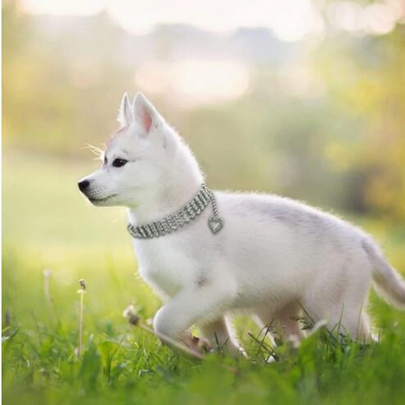 Creative Pet Dog Necklace Small Dogs Bling Faux Rhinestone Pet Collar Puppy Heart Pendant Necklace Puppy Pet Dog Neck Decoration