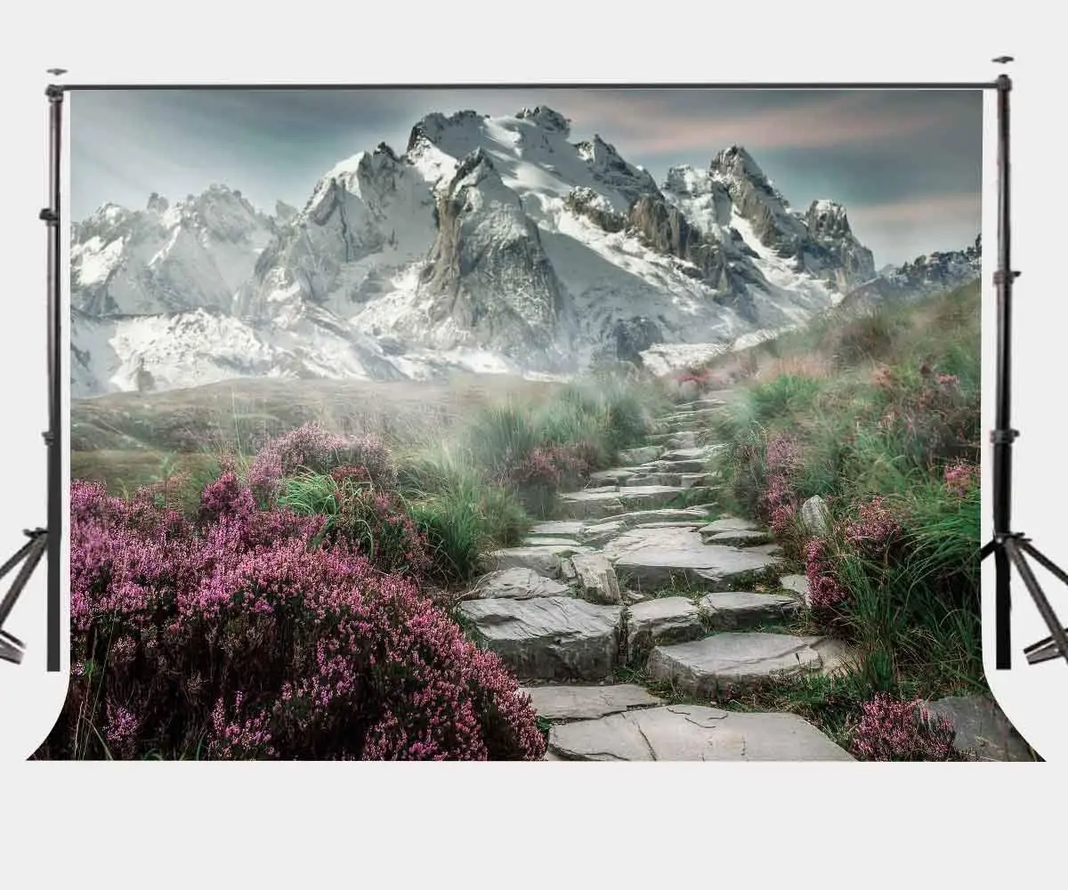 

7x5ft Natural Landscape Backdrop Snow Mountain View Backdrop Winding Mountain Road Photography Background