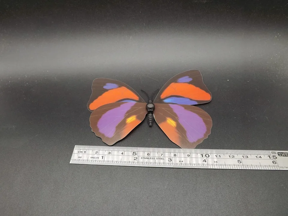 I240-Butterfly (12)