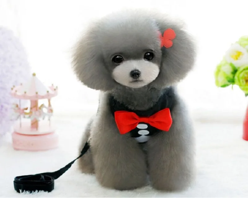 S01_Fashion_Red_Bowtie_Tuxedo_Pet_Dog_Harness_With_Leash_Adjustable_Safety_Walk_Harness_Vest_Gentleman_Suit_Boy_Dog_5