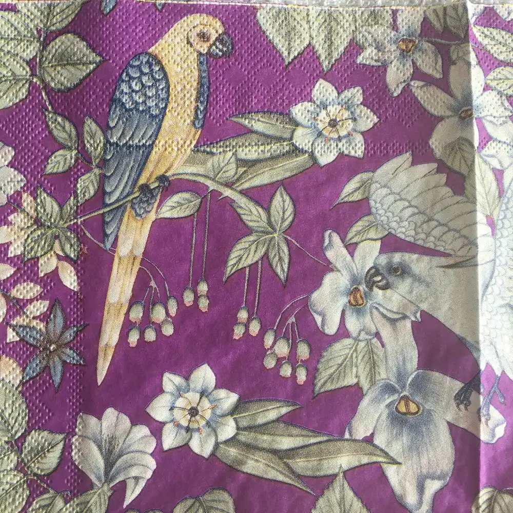 Parties Weddings Serviettes for Decoupage 2 Paper Napkins Parrot