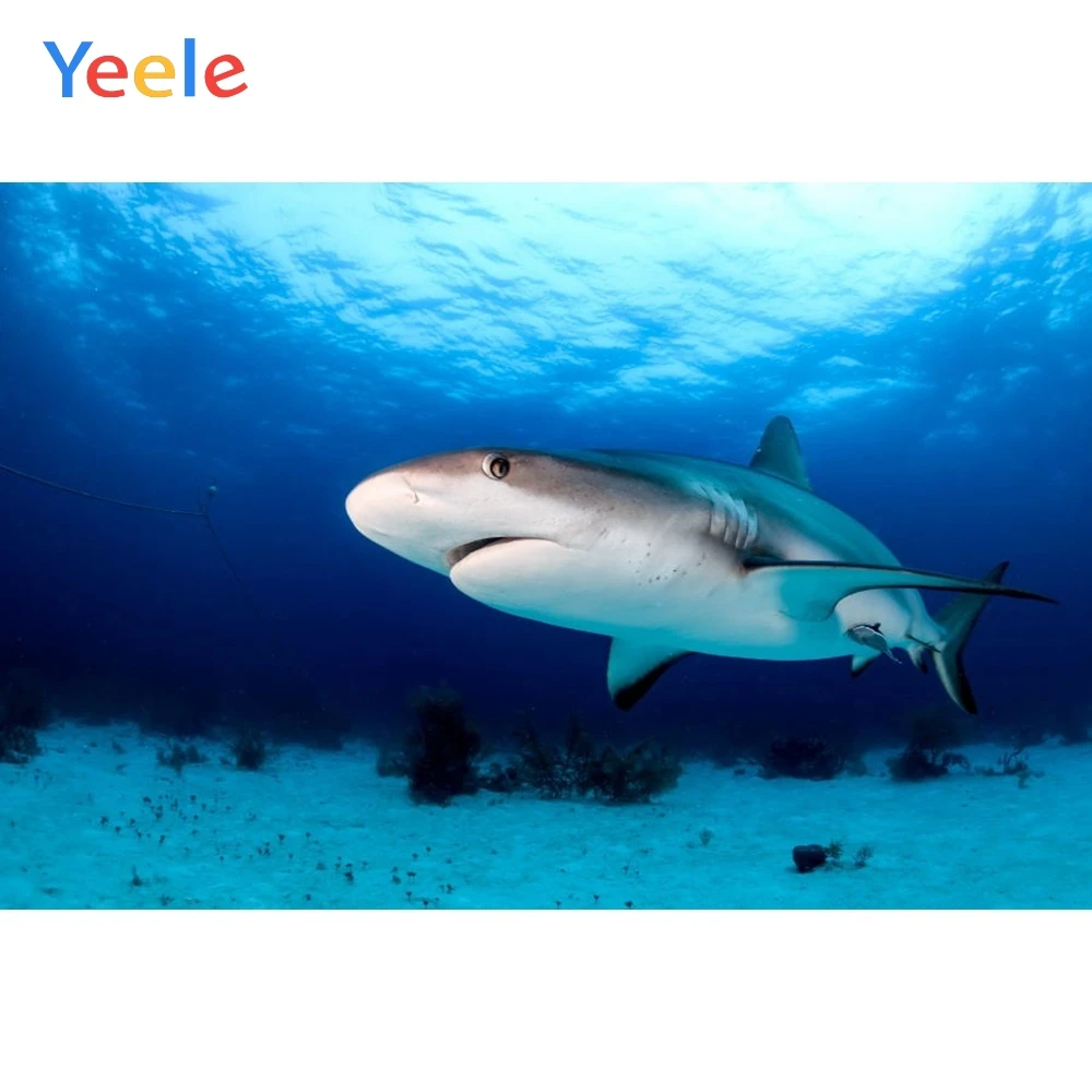 

Yeele Vinyl Seabed Fish Shark Children Birthday Party Photograph Backdrop Baby Boy Girl Photocall Background for Photo Studio