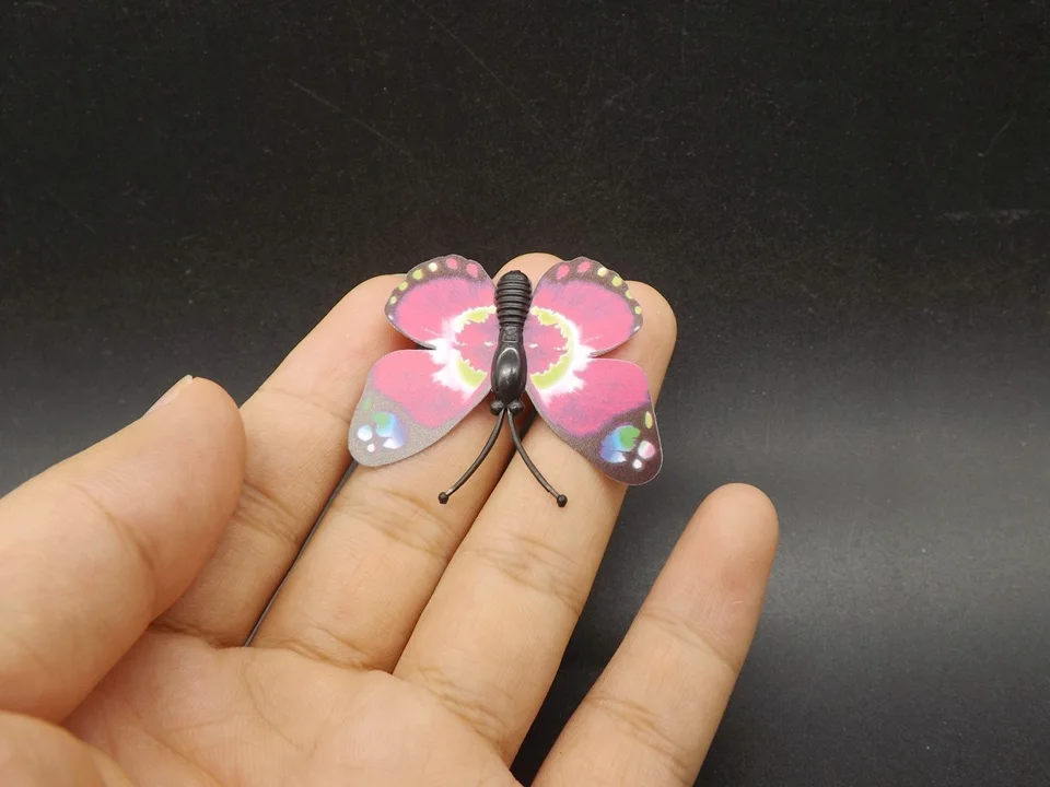 I250-Butterfly (3)