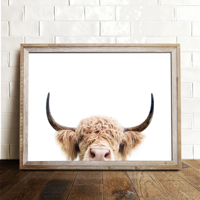 Highland Cow Prints