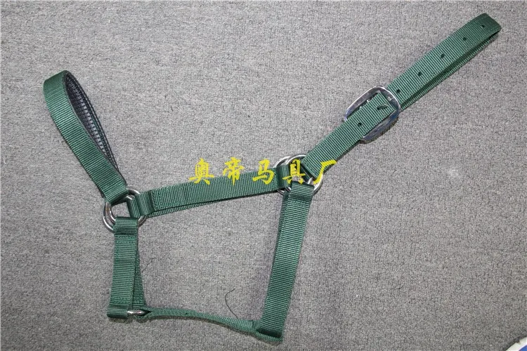Aoud Saddlery Textile Halter Riding Horse Racing Equipment Equestrian Taps Halter Stainless Steel Buckle Headstall High Quality