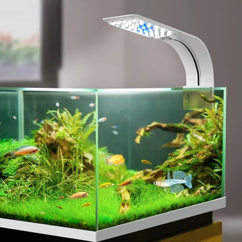 

LED Aquarium Night Light 10W 220V Clip-on Night Lamp For Home Fish Tank Lighting Aquatic Plant Light Luces LED Nachtlampje