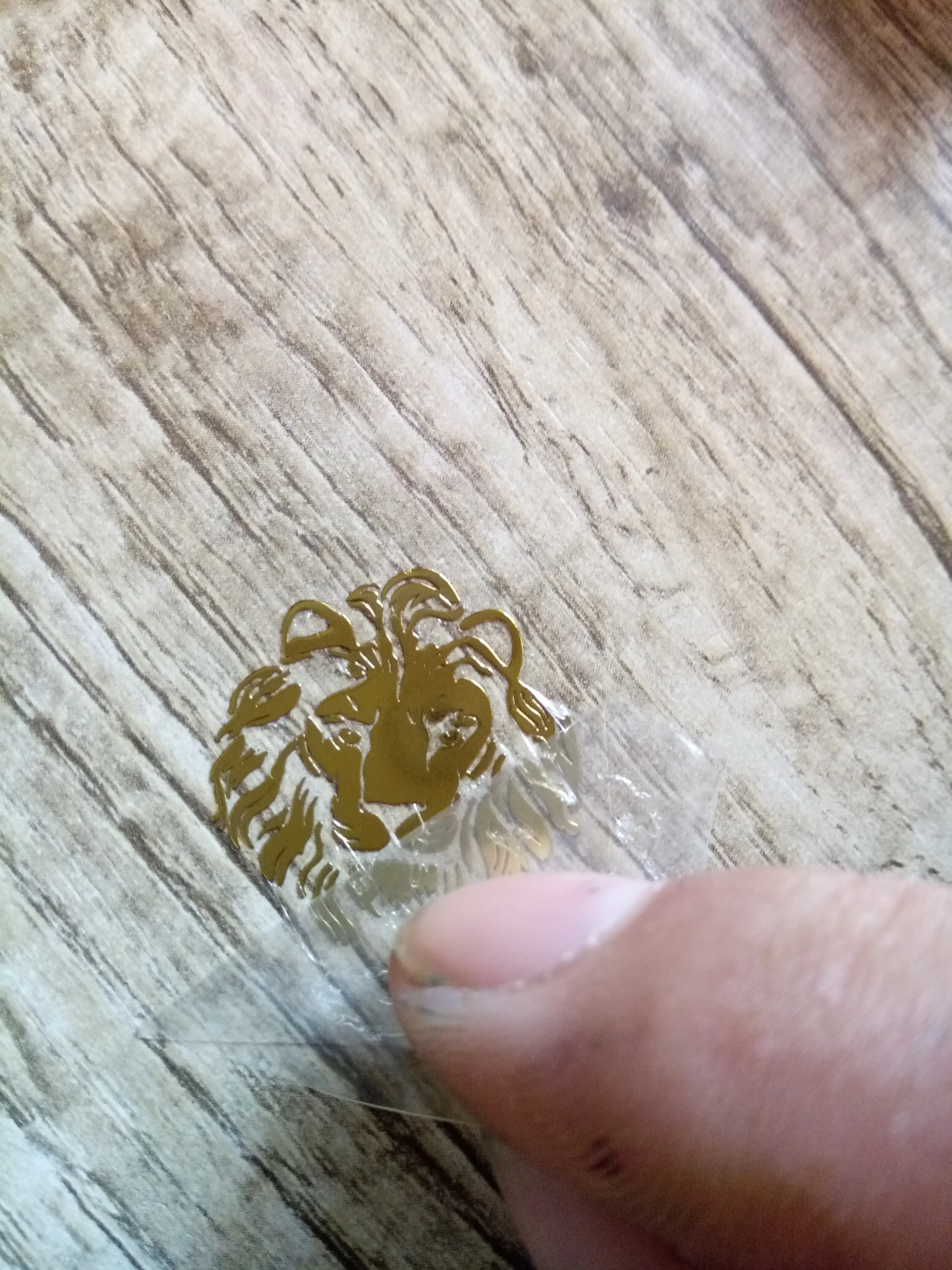 Рисунок 5 - 23x10 мм, тонкая металлическая