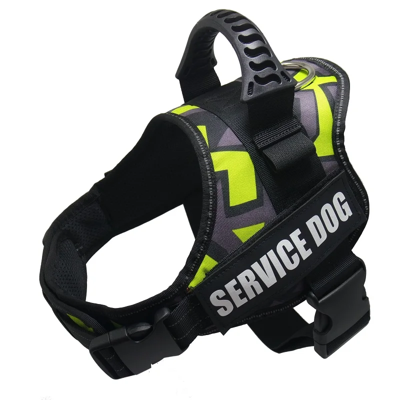 dog collar