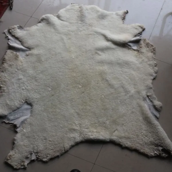 Australian raw sheep fur skin real sheep fur pelt sheared Sheepskin (7)