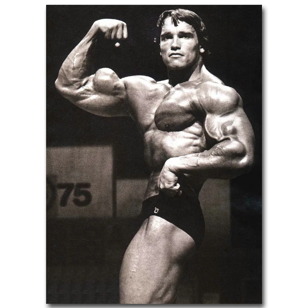 

Arnold Schwarzenegger Bodybuilding Motivational Art Silk Poster Print Fitness Inspirational Picture for Room Wall Decor 014