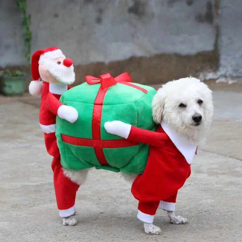 Christmas Dog Clothes (5)