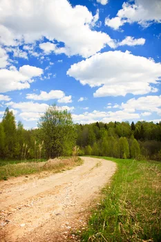 

nature scene photography backdrop Art fabric blue sky print photography background for wedding or outdoor photos D-905