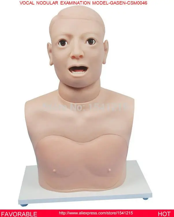 

MANIKIN HEAD MANIKIN BODY MEDICAL TRAINING MANIKINS MEDICAL SIMULATOR TRAINING VOCAL NODULAR EXAMINATION MODEL-GASEN-CSM0046