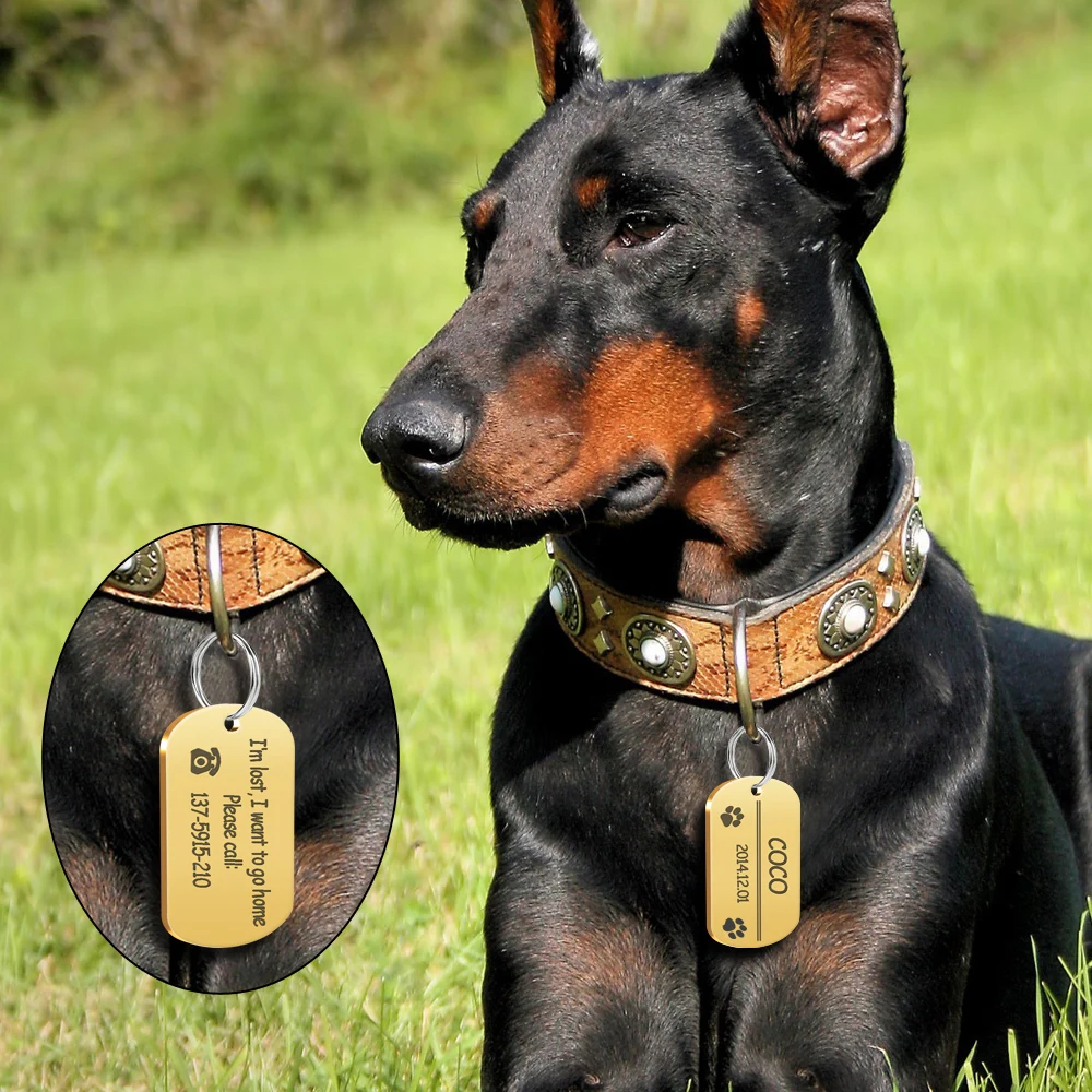 Персонализированные Бирки Для Собак из нержавеющей стали, индивидуальные военные бирки для собак с гравировкой, имя питомца, день рождения, номер телефона и пол с кольцом