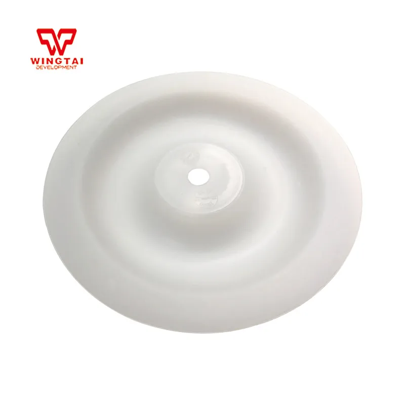 

10# PTFE Diaphragm Parts of 10# Pneumatic Diaphragm Pump Replacement