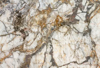 

Vinyl Photography Backdrop Photo Studio Kit Magical Fossil Kids Birthday Wedding Newborn Baby Shower Background Home