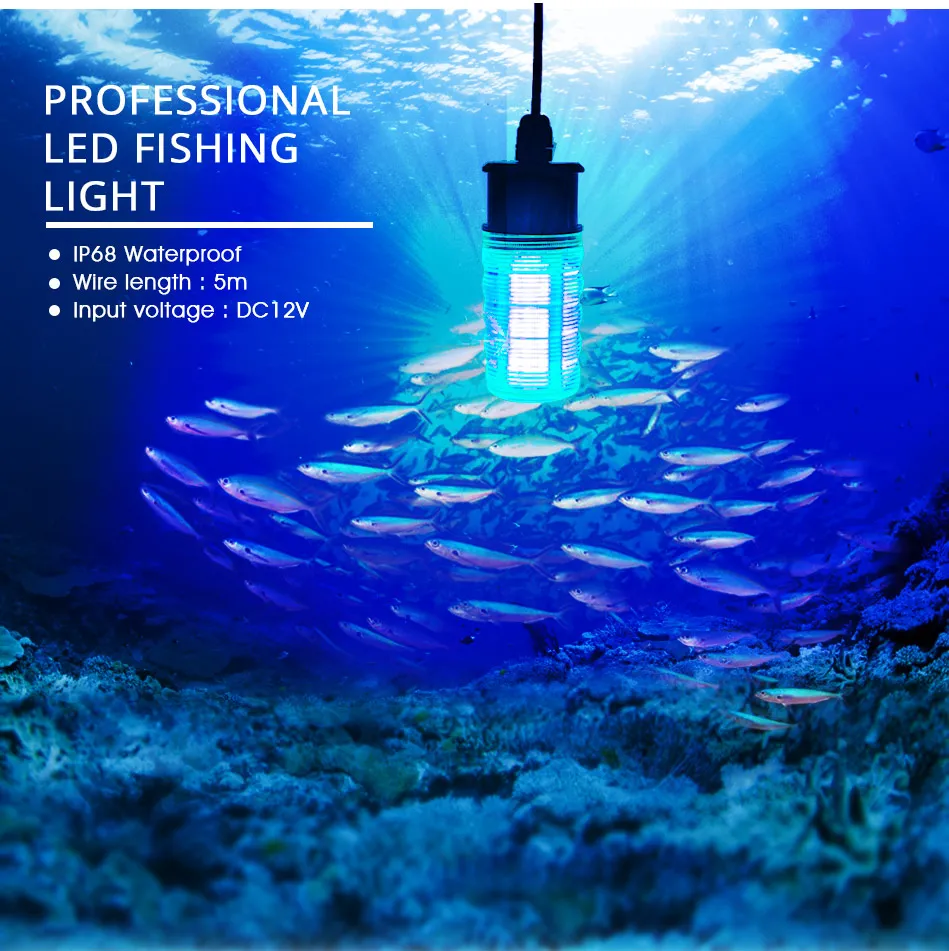 LED-Fishing-Lighting_02