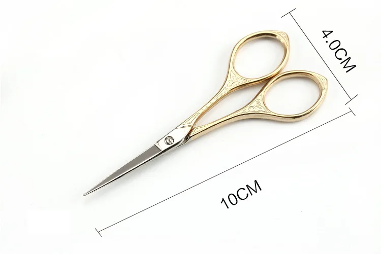 7343510903_1680797183