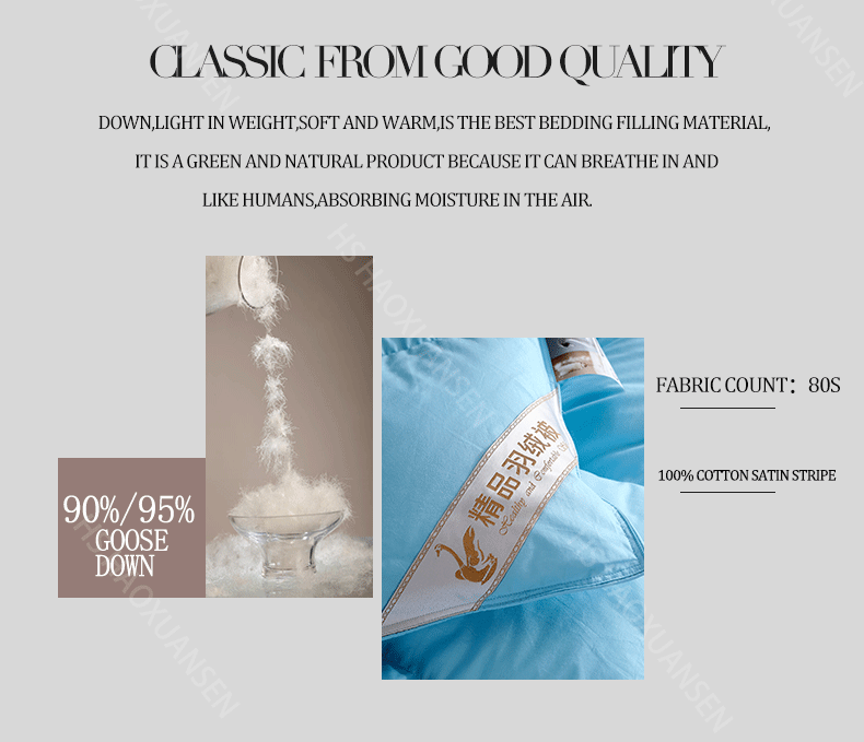 Blue 80S Fabric Filling Power 800 High Density Natural Colored Cotton Goose Down Quilt King Queen Twin Size Duvet 650TC Winter
