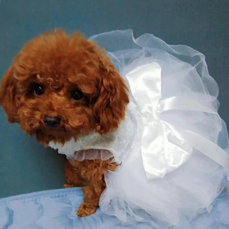 Собачье свадебное платье для питомца, кружевное вышитое платье ручной работы для маленьких собак, платье-пачка принцессы с бантом, чихуахуа, пуделя