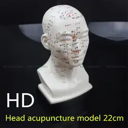 Медицинская голова Акупунктура Модель 22 см высокой четкости лица акупунктуры модель точечной акупунктуры головы акупунктуры обучающая