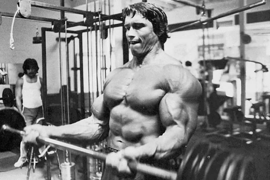

Arnold Schwarzenegger Muscle Bodybuilding Fabric silk poster printing Gym Decorative