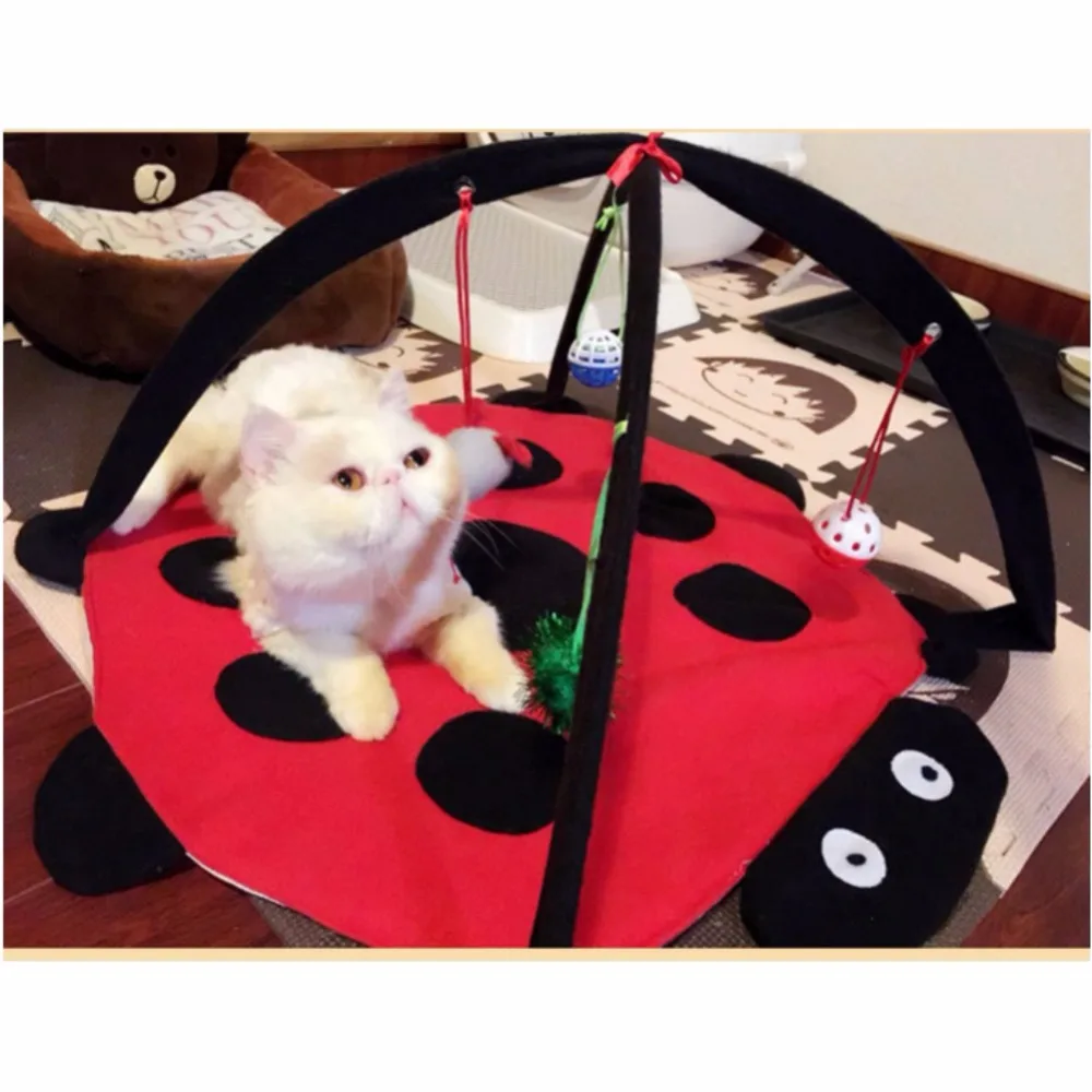 2018 Cat Toys Pet Cat Play Tent Bed Funny Colorful Toys Kitten Pad Cushion Exercise Gift folding tent bed toy bed for pets 2018 Cat Toys Pet Cat Play Tent Bed Funny Colorful Toys Kitten Pad Cushion Exercise Gift folding tent bed toy bed for pets