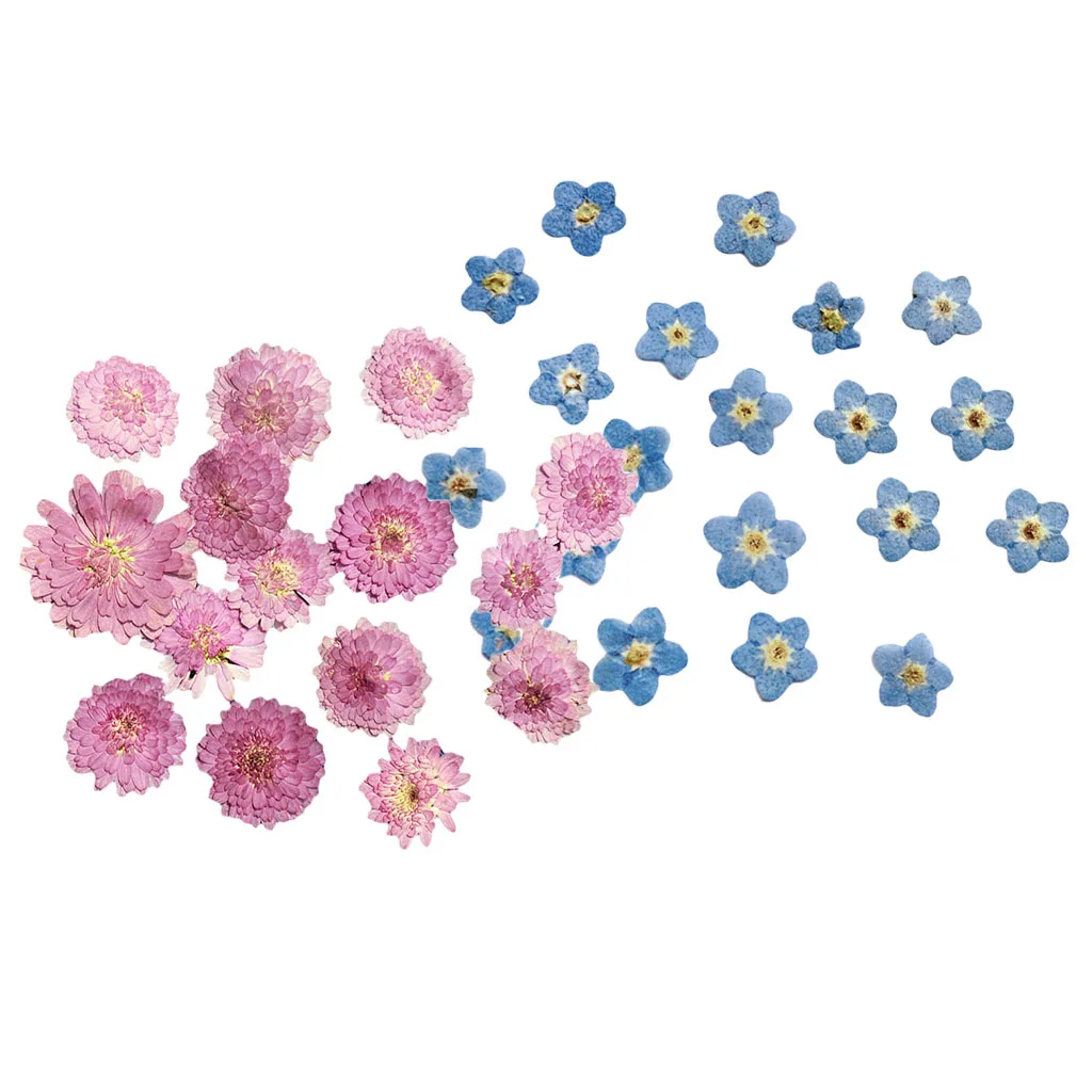 20x Pressed Dried Flower Dry Leaves for DIY Craft Bookmark Cards Making