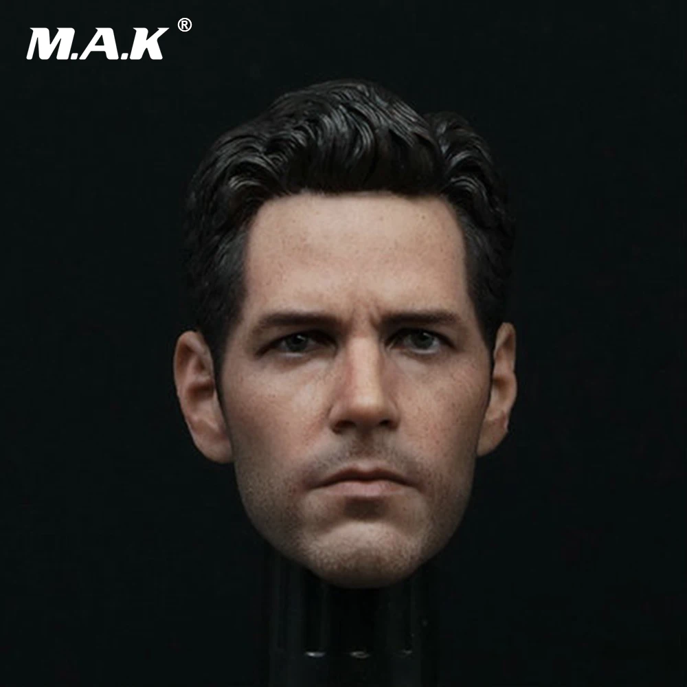 

1/6 Scale Paul Rudd Head Sculpt Revengers Male Headplay Ant Man For 12 Inches Figure Body Accessories