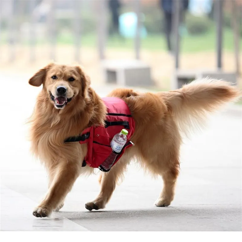 dog harness with bag