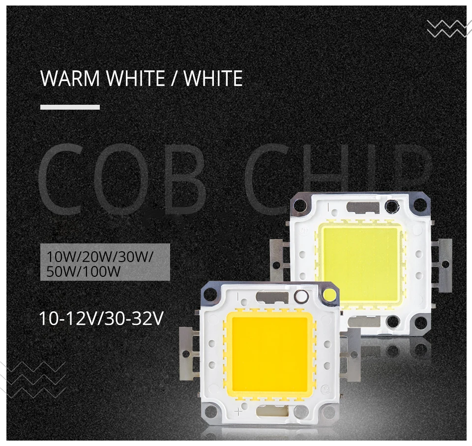 LED Integrated Spotlight Bulbs COB 10W 20W 30W 50W 100W LED Lamp Chip SMD Outdoor Lighting Warm Cool White Diodes DIY Floodlight (1)
