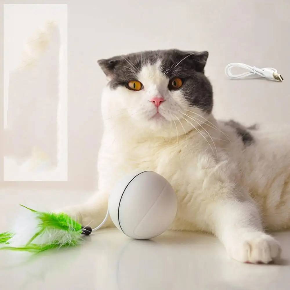 USB Перезаряжаемый светодиодный лазерный красный светильник для кошек и собак, вращающийся шар для питомцев, интерактивный для щенков, игрушка для обучения IQ, инструменты для упражнений