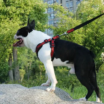 

Outdoor Training Dog Collar Safety Sport Dog Vest Walking Pitbull Bulldog Harnesses Reflective Harness For Big Dog Arnes Perro