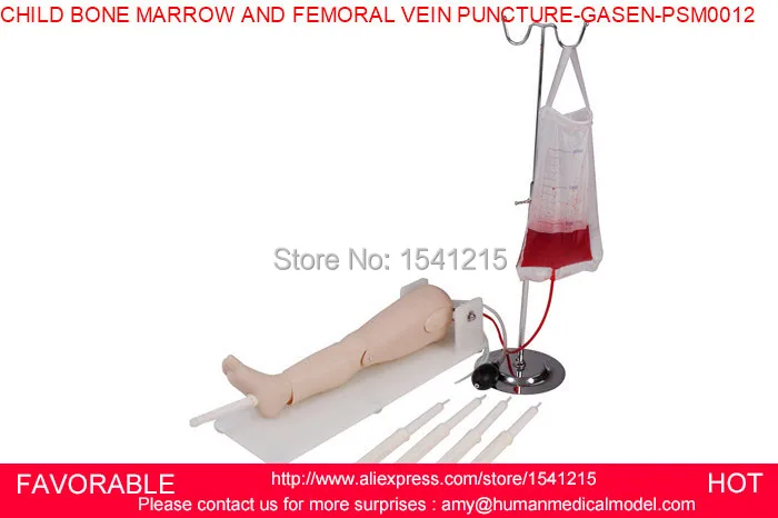 

NURSING MEDICAL TRAINING BONE PUNCTURE FEMORAL VEIN PUNCTURE MODEL,CHILD BONE MARROW AND FEMORAL VEIN PUNCTURE-GASEN-PSM0012