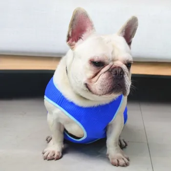 

Dog Summer Cooling Vest Dog Pet Summer Costume For Dogs Puppy Cooling Clothes Pet Mesh Blue Coat For Small Medium And 0Large