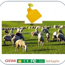 80*70 мм ТПУ антиаллергенный материал Бесконтактный 860 МГц~ 960 МГц UHF EPC Gen2 желтый uhf rfid тег