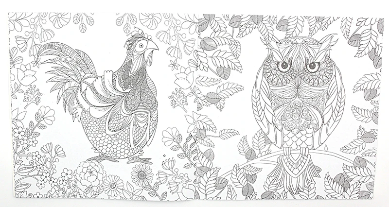The Enchanted Forest 24 Pages English Edition Coloring Book For Adult Relieve Stress Kill Time Graffiti Painting Drawing In Books From Office School