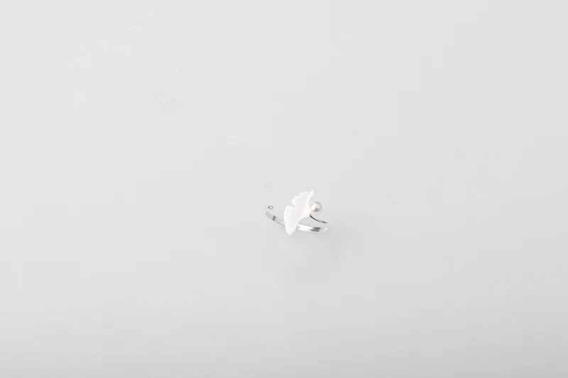 r60 (1)