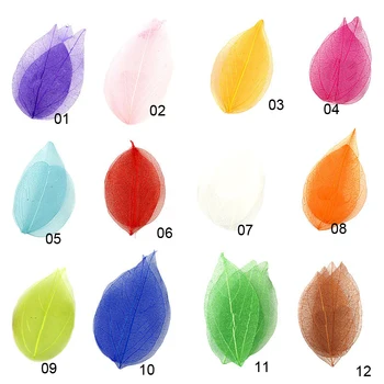 

Natural Dried leaf combination DIY Pressed Herbarium Flower Decorative Crafts filler jewelry making Handmade material package